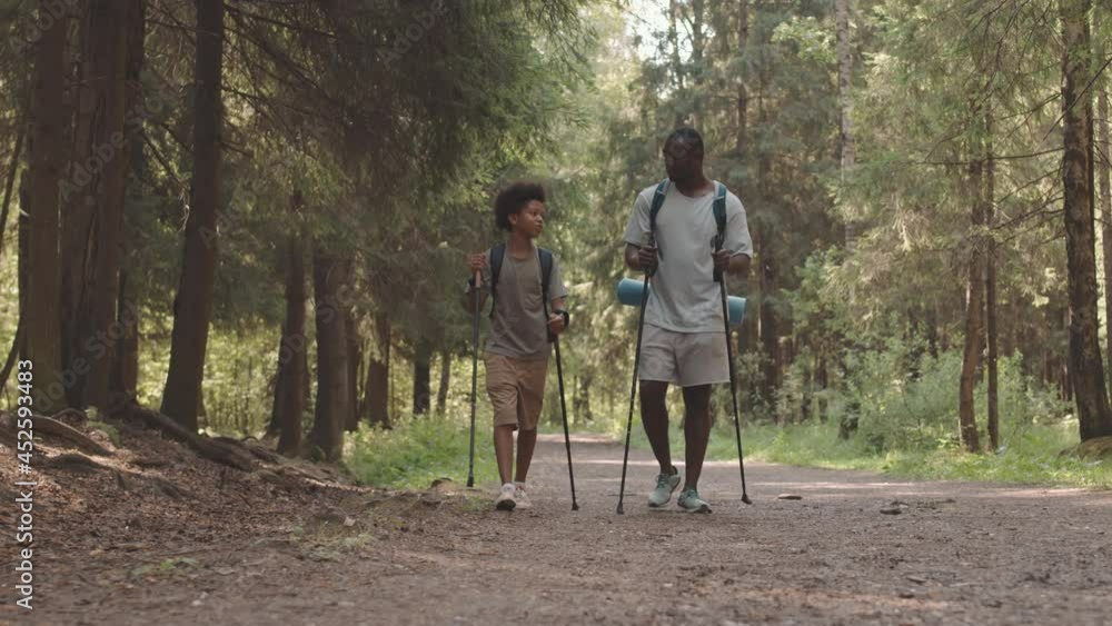 Full-length slowmo shot of African American father and son chatting while walking along beautiful forest path using hiking poles on warm sunny day Full-length slowmo shot of African American father and son chatting while walking along beautiful forest path using hiking poles on warm sunny day