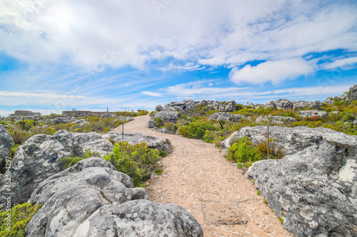 Beautiful views up on Table Mountain, Cape Town, South  Africa
