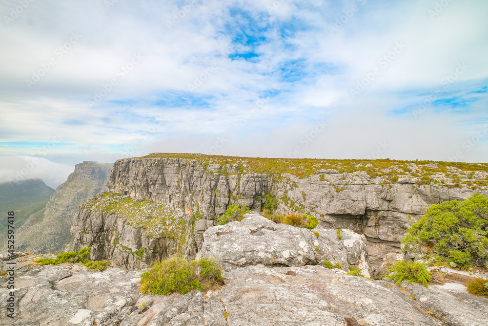 Beautiful views, images and birds on top of Table Mountain, Cape Town, South Africa