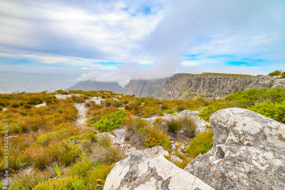 Beautiful views, images and birds on top of Table Mountain, Cape Town, South Africa