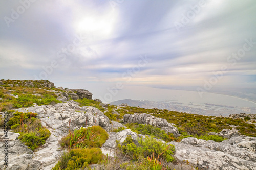 Beautiful views, images and birds on top of Table Mountain, Cape Town, South Africa