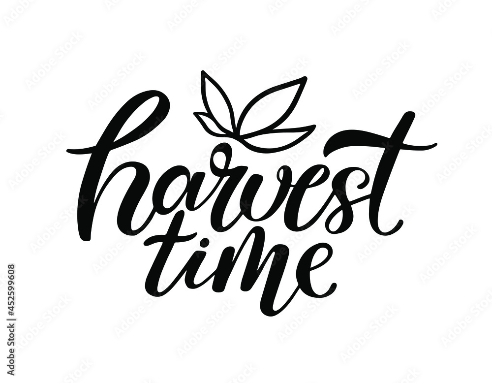 Harvest time illustration with lettering and autumn leaves isolated on white background. Autumn concept for cards, posters, banners, logo, tags. Harvest time illustration with lettering and autumn leaves isolated on white background. Autumn concept for cards, posters, banners, logo, tags.