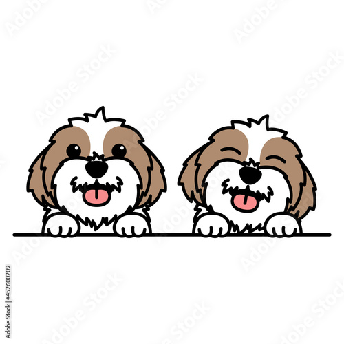 Cute shih tzu dog cartoon, vector illustration