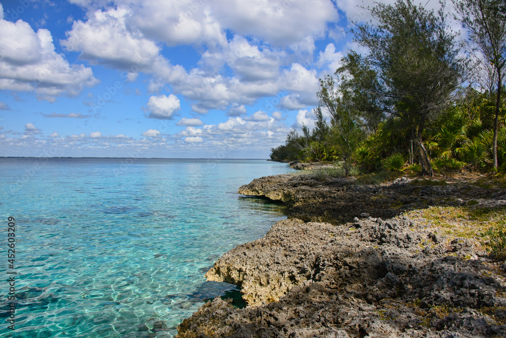 Fototapeta premium Beautiful Caribbean sea at exquisite Caleta Buena, Playa Giron, Cuba