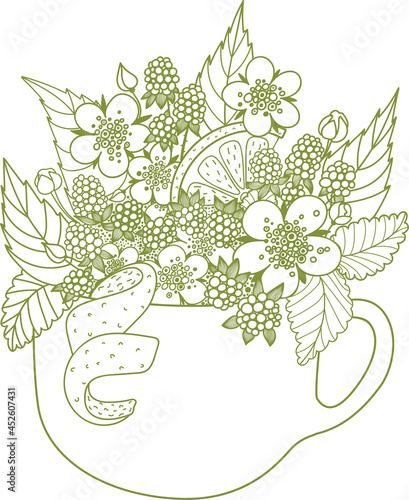 Herbal tea. Hand-drawn illustration with berry, leaves and flowers. Lemon, blackberry, lemon balm and orange zest. 