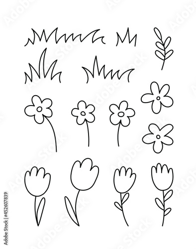 set of doodles with plants, flower, grass, chamomile, tulip. Linear vector illustration. hand drawn style symbols and objects . simple, black drawing for sticker, decor, postcard, icon, coloring page