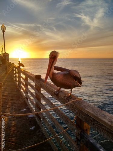 Canvas Print Pelican Sunset on Pier