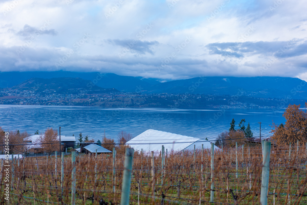 Fototapeta premium カナダ、ブリティッシュコロンビア州、ケロウナの観光名所を旅行する風景 Scenes from a trip to the sights of Kelowna, British Columbia, Canada 