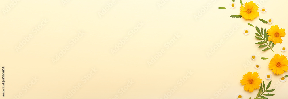 Beautiful flower composition on color background with space for text Beautiful flower composition on color background with space for text