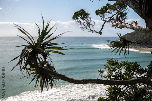 Tropical paradise, Noosa Head Australia photo