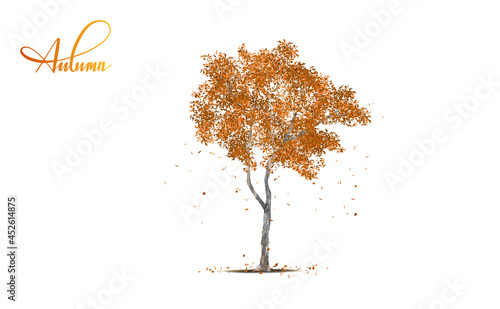 Isolated fall leaves tree on white background. Single tropical tree in vector illustrative. Concept for landscaped decoration of tree in garden and architectural design in autumn on September