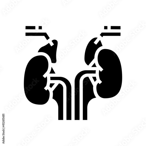 adrenals endocrinology glyph icon vector. adrenals endocrinology sign. isolated contour symbol black illustration