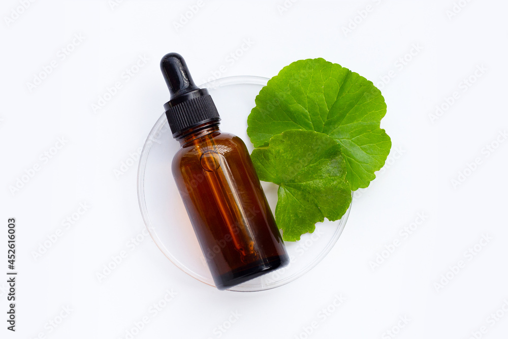 Essential oil with fresh leaves of gotu kola in petri dish on white background. Essential oil with fresh leaves of gotu kola in petri dish on white background.