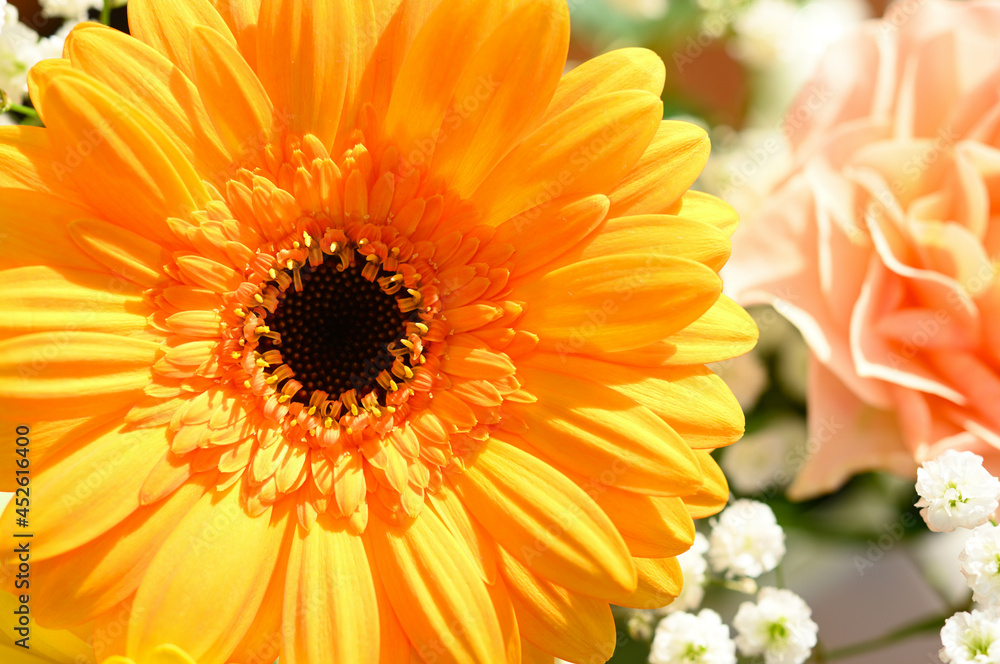 Close-up of a yellow orange flower. Close-up of a yellow orange flower.