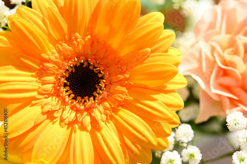 Close-up of a yellow orange flower.