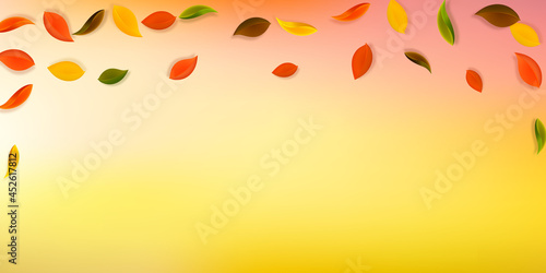 Falling autumn leaves. Red, yellow, green, brown n