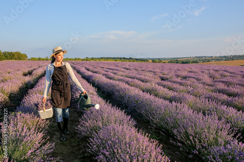 Female farmer holding basket with lavender flowers and watering can in field
