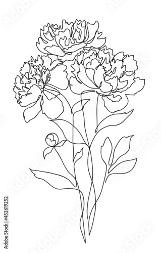 Fototapeta Naklejka Na Ścianę i Meble -  Beautiful peony flower bouquet. Line art concept design. Continuous line drawing. Stylized flower symbol. Vector illustration