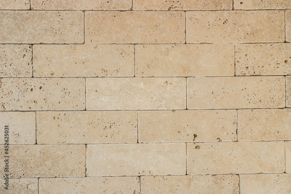 Fototapeta premium bricks on the wall