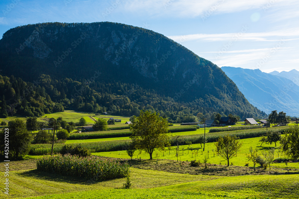 スロベニア　リュブリャナからブレッド湖に向かう道中に見える自然が広がる景色