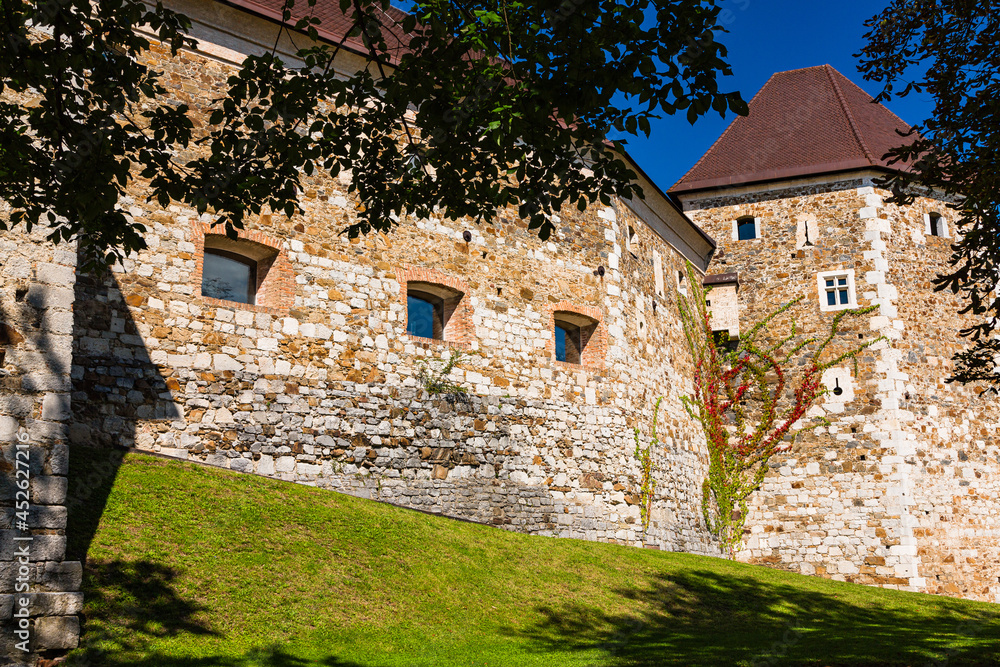 Fototapeta premium スロベニア リュブリャナのリュブリャナ城