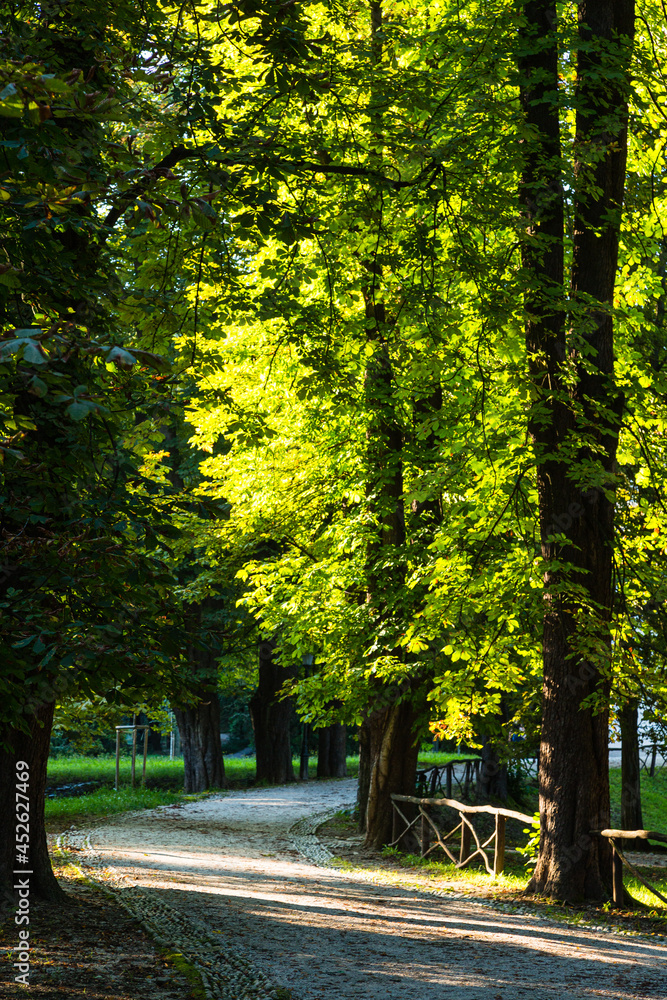 Naklejka premium スロベニア リュブリャナのティヴォリ公園