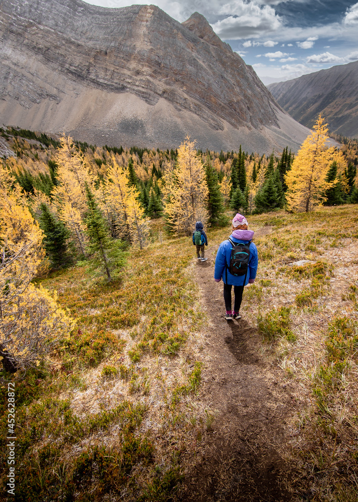 A young family with children hiking through larch trees in fall colours in the Canadian Rocky Mountains.