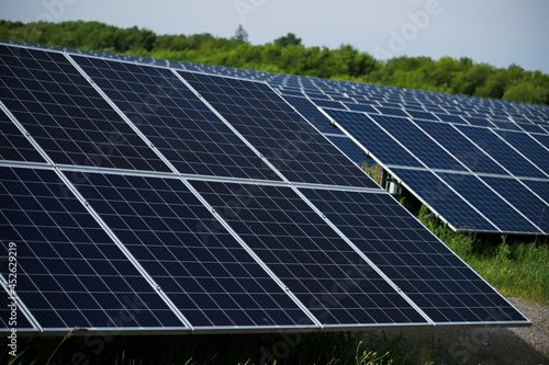 Rows of solar panels in a field. Natural energy