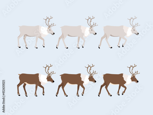 set of Reindeer
