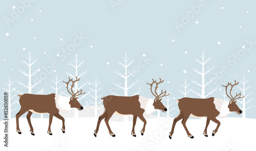 Reindeer with fir tree and snow © molamola