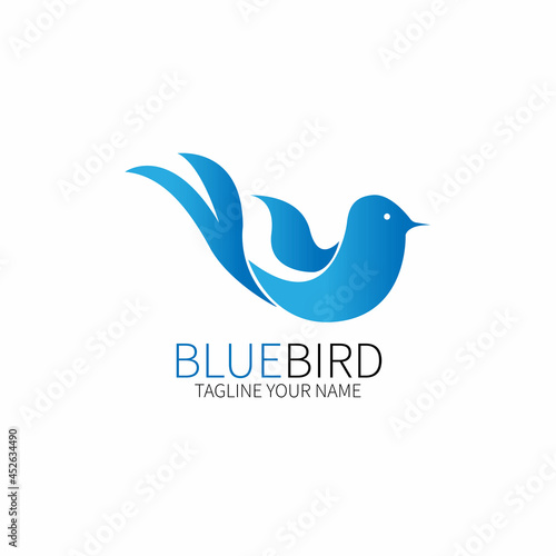 blue bird animal design logo vector
