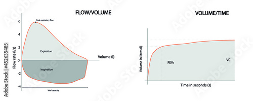Normal Spirometry curves. Graph of volume  time and of peak expiratory flow volume loop when breathing in and out. Spirometry test.