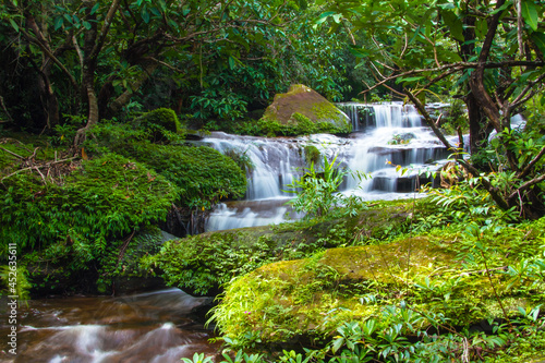 waterfall in the forest