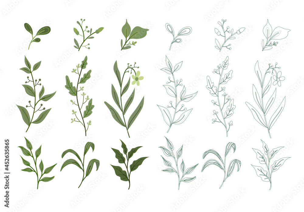 Naklejka premium Big set of green leaves colored and outline