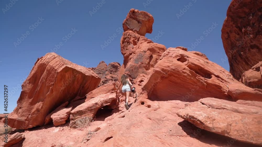 Back of Young Woman Walking Under Red Rock Formations, Valley of Fire State Park Nevada USA. Female Hiker Under Sandstone Towers on Hot Sunny Day, Full Frame Back of Young Woman Walking Under Red Rock Formations, Valley of Fire State Park Nevada USA. Female Hiker Under Sandstone Towers on Hot Sunny Day, Full Frame