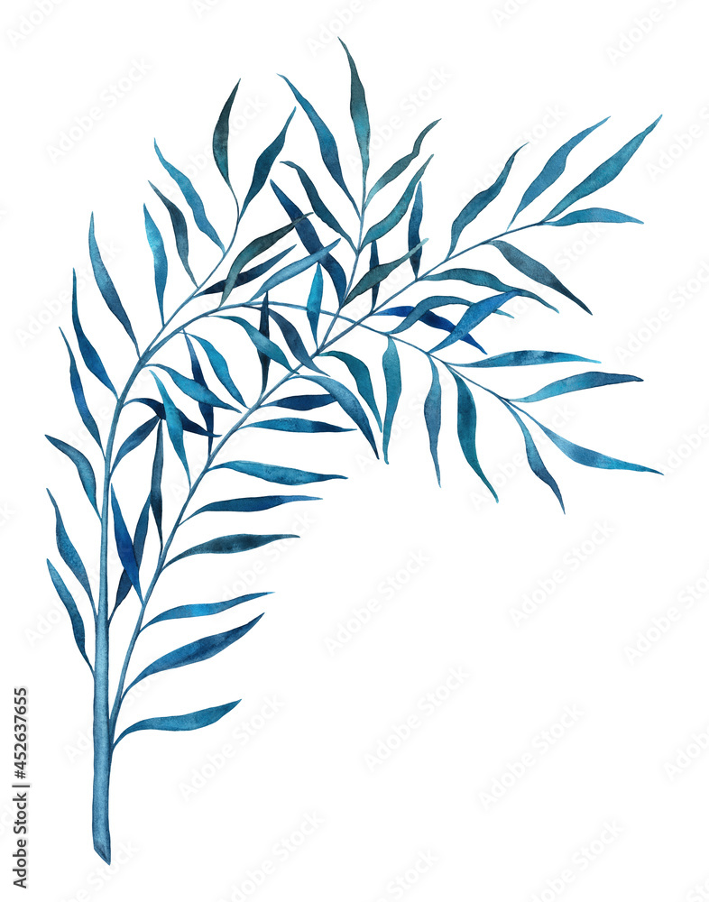 Naklejka premium Tropical leaves watercolor illustration. Isolated on white background olive palm branch with blue and turquoise leaves.