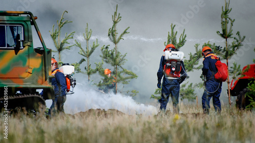  Firefighters extinguish a forest fire in the reserve on a summer day