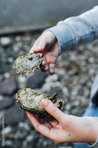 two hands holding two oysters 