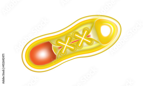 Yellow sneaker isolated on white background. Casual and sport shoe. Fashion sneakers top view. Art vision design Ad for kids or young vivid style. Vector illustration.