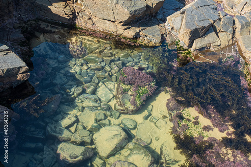 Beautiful shores, rock pools of South Africa coastline