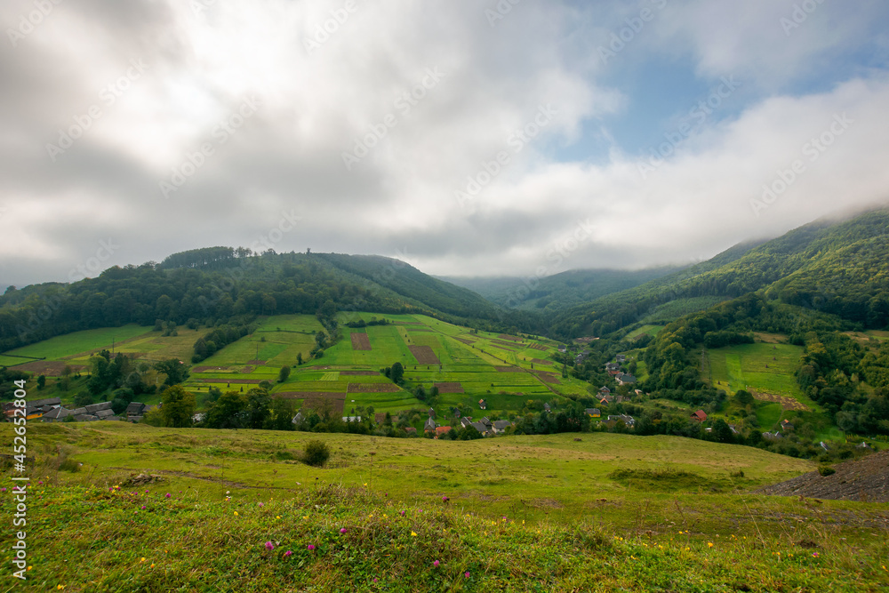 grassy meadow in mountains. beautiful carpathian countryside landscape in morning light. wonderful rural scenery in early autumn season