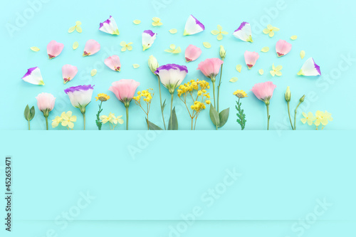 Top view image of pink, yellow and purple flowers composition over pastel blue background .Flat lay
