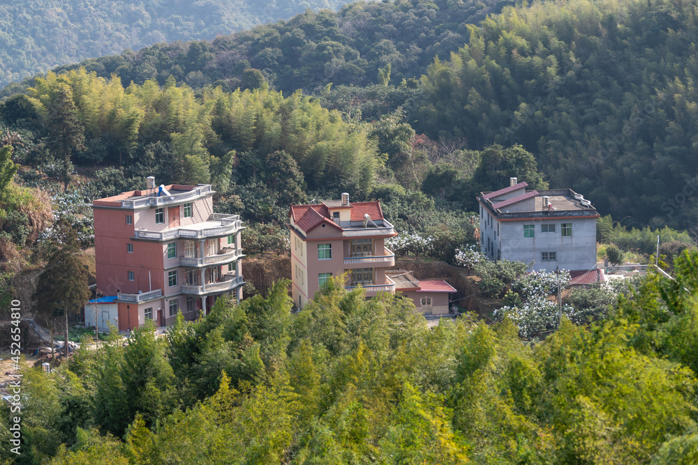 The red house stands out in the bamboo forest The red house stands out in the bamboo forest