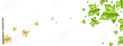 Green spring and Golden autumn leaves border with empty space for banner  poster  placard  sale flyer. Fall maple gold and yellow leaf element on white background. Vector illustration