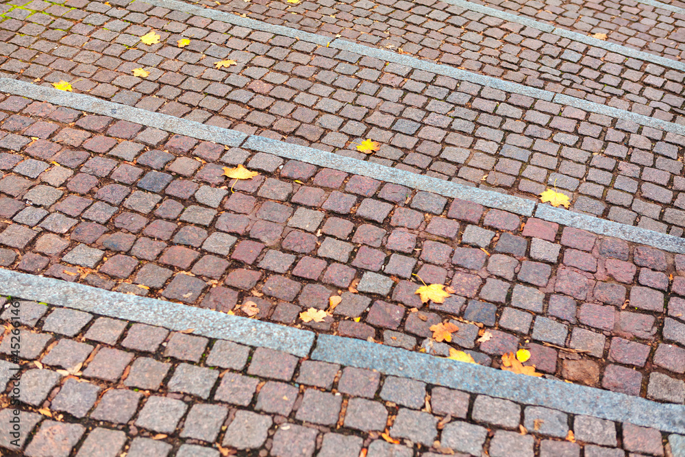 Fototapeta premium Cobblestone road with autumn leaves . Walking in the fall season . Autumn in the city 