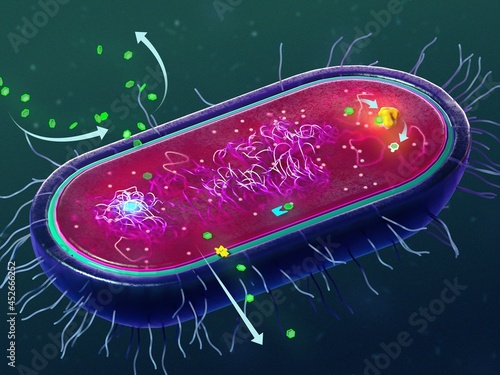 Antibiotic resistance mechanisms of bacteria, illustration photo