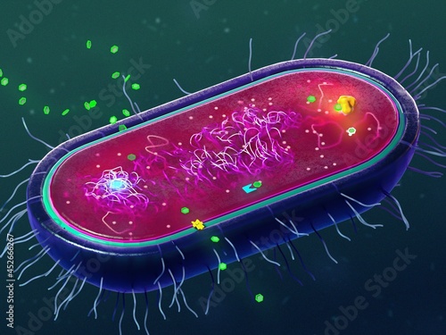 Antibiotic resistance mechanisms of bacteria, illustration photo