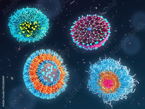 Polymeric nanoparticles for drug encapsulation, illustration
