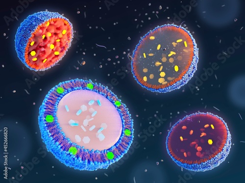 Lipid-based nanoparticles for drug encapsulation, illustrati photo