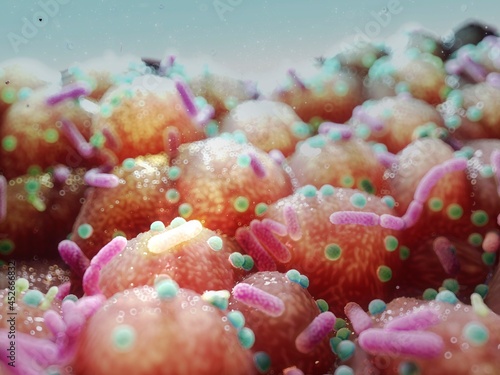 Bacteria on the intestinal epithelium surface, illustration photo